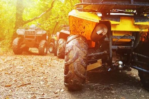 Wheels in mud много денег