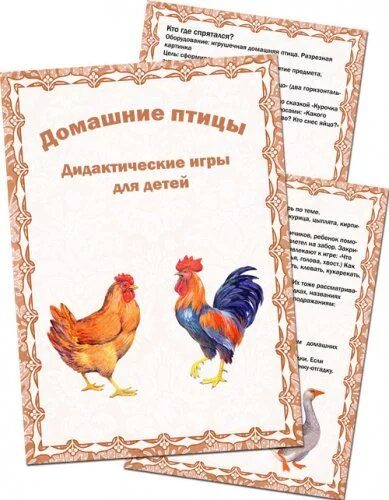 Задание на тему домашние и дикие птицы. Домашнее задание на тему домашние птицы. Домашнее задание по лексической теме домашние птицы. Логопедическое задание на тему домашние птицы для дошкольников. Лексическая тема птицы домашние рекомендации родителям.