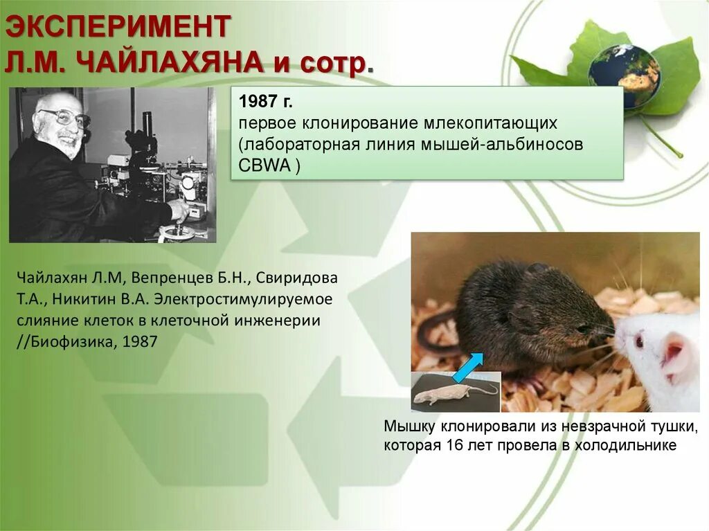 Первым в мире клонированным млекопитающим была
