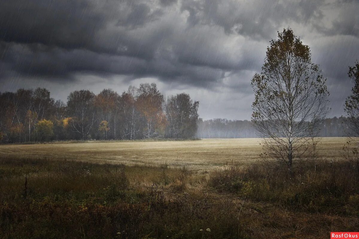 Серое небо осени. Хмурая осень. Пасмурный день. Пасмурная осень. Пасмурный пейзаж.