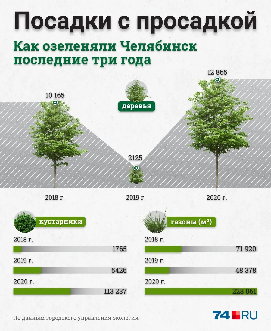 Количество деревьев в мире. Деревья в челябинске. распространенные деревья в челябинске. сколько всего деревьев в челябинске. какие деревья высажены в челябинске.