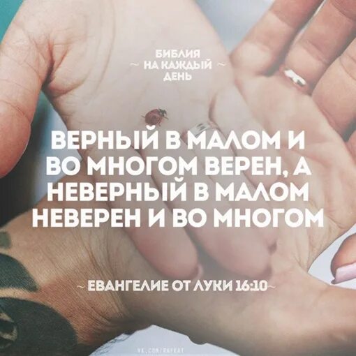 Верный в малом. Верный в малом и во многом верен. Верный в малом и во многом верен. Не будь неверен но верен. Игра верно неверно презентация.