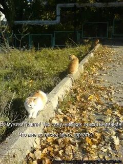 Пошла в час