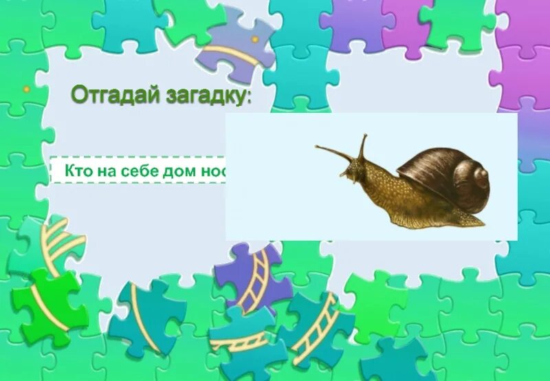 Угадай 3 загадки. Кто на себе дом носит загадка. Отгадай загадки кто на себе дом носит загадка. Отгадай загадку : кто дом на себе носит?. Кто на себе свой дом носит ответ на загадку.