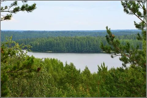 Кончезеро автобус