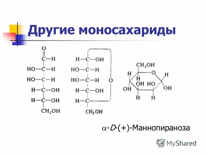 сахароза аминокислота