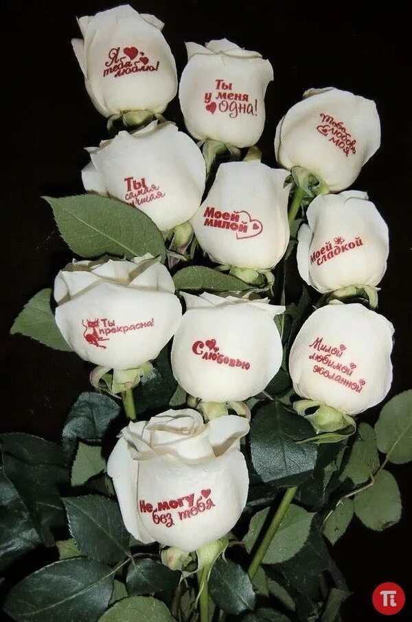 Отправил девушке цветы. Букет роз с надписью. Розы с надписью. Цветы для любимой. Цветы с надписью с днем рождения.