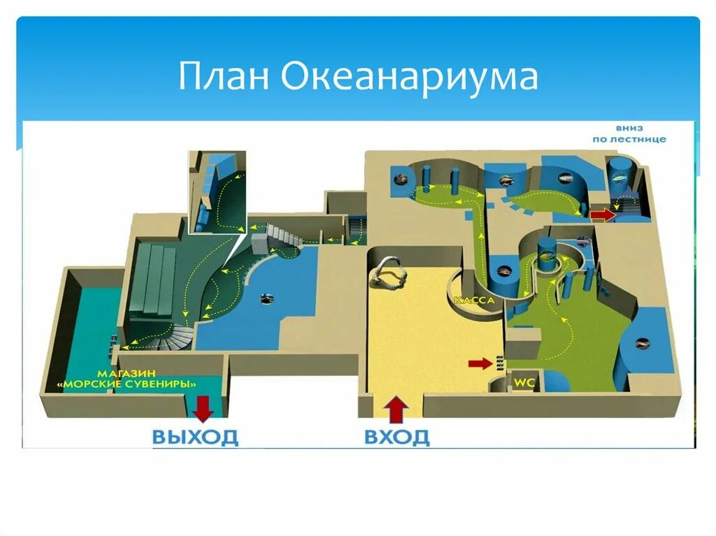 Океанариум схема. Схема океанариума в Санкт-Петербурге. План океанариума. Океанариум СПБ план. Планировка океанариума.