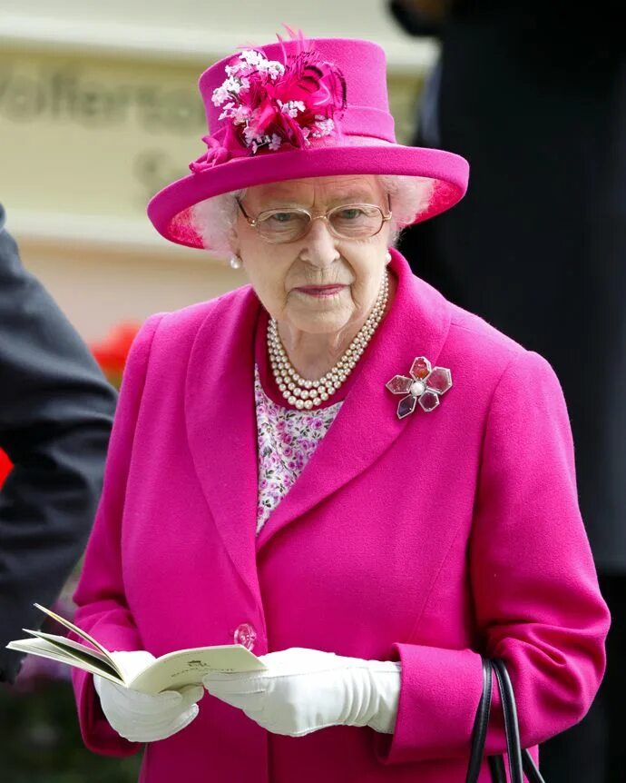 Кто является главой государства великобритании. Династия королевы Елизаветы 2.