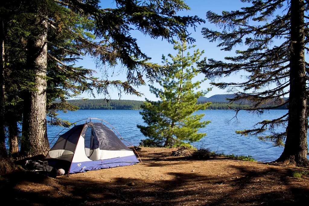 Only camping. Кемпинг парк Ладога. Кемпинг Суходольское озеро. Карелия Онежское озеро автокемпинг. Озеро Рица кемпинг.