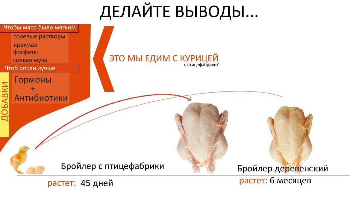 Бройлер маринад. Гормоны роста для кур бройлеров. антибиотики и гормоны в мясе. антибиотики и гормоны в курином мясе.