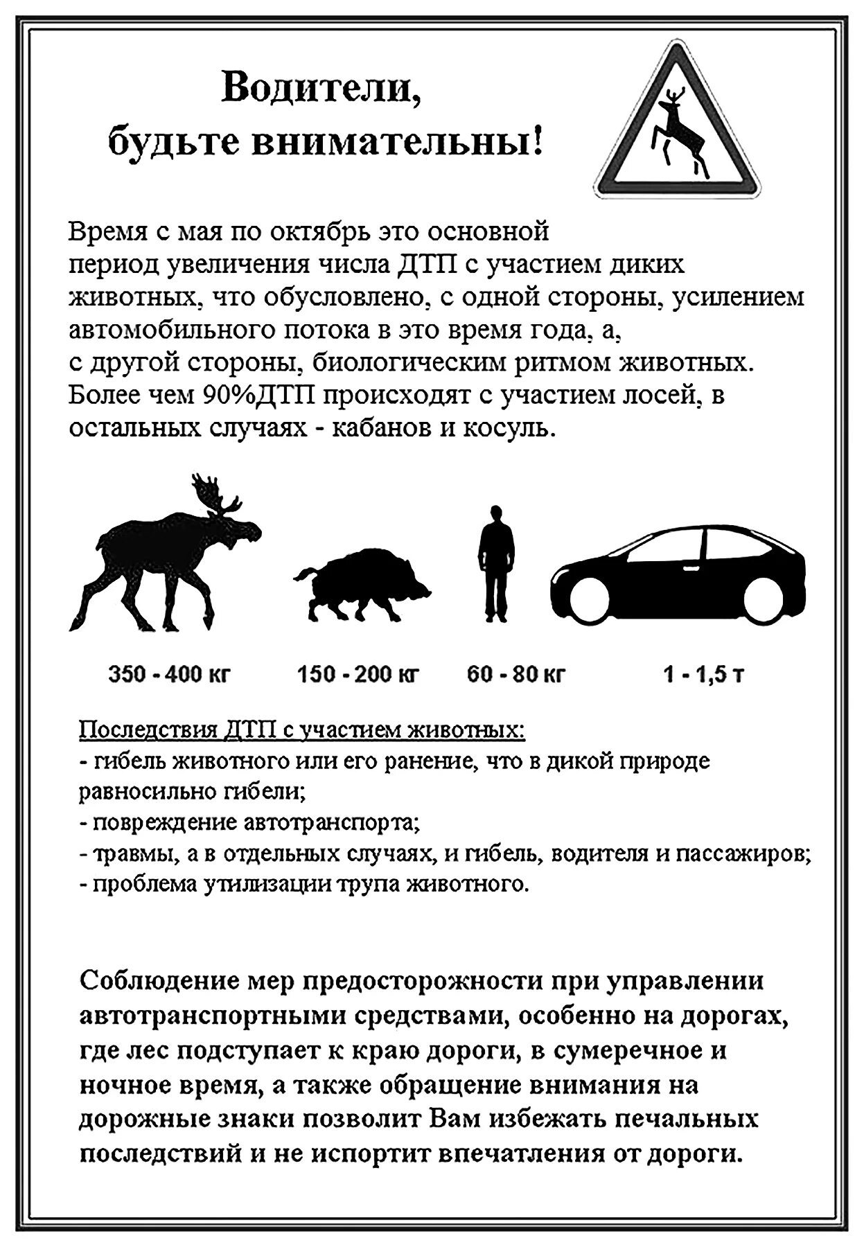 Предупреждение наездов