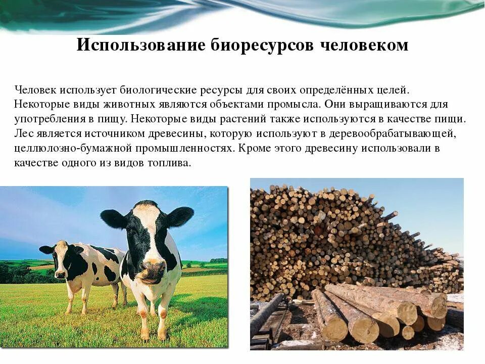 Схема биологические ресурсы россии. Классификация биологических ресурсов схема. Биологические ресурсы презентация. Главное значение биологических ресурсов. Значение биологических ресурсов для человека.