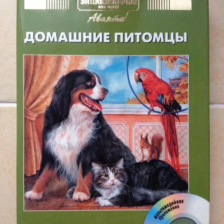 Домашние питомцы Аванта энциклопедия для детей. «Домашние питомцы», энциклопедия для детей, 2004 г.. Энциклопедия для детей. Том 24. Домашние питомцы. Книги о домашних животных. Читать домашнюю энциклопедию