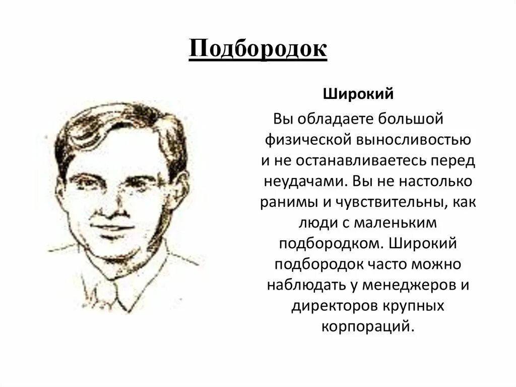 Лоб характер. Физиогномика подбородок. Физиогномика форма лица. Маленький подбородок физиогномика. Физиогномика черты лица и характер.