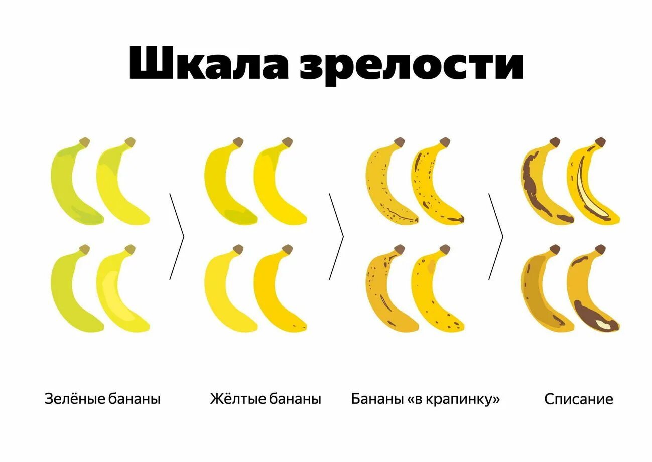 Степень зрелости бананов. Шкала зрелости бананов. стадии созревания банана. таблица зрелости бананов. степень созревания бананов.