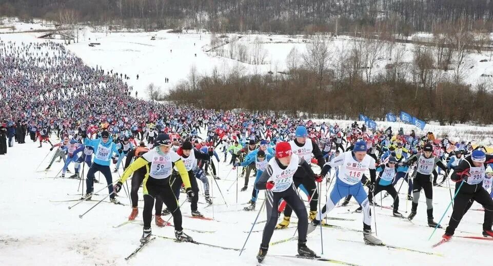 Лыжная база химки 53 фото Ast-Ohota.ru