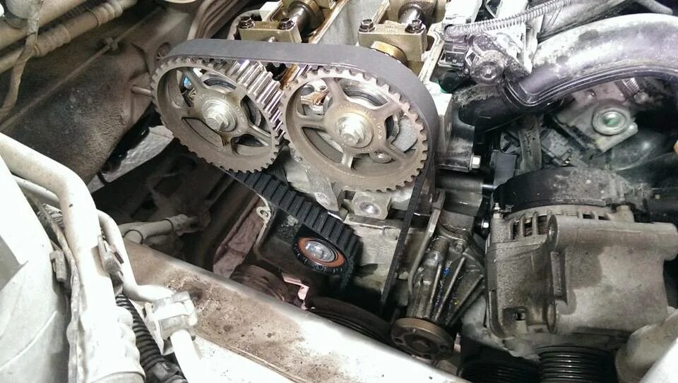 4 грм. Грм форд фокус 2 1. С грм. Грм форд фокус 2 1. 6 100.