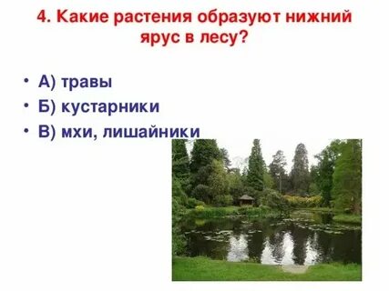 Верхний или средний ярус
