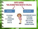 Что такое человек окружающий мир 3 класс. Что такое человек окружающий мир 3 класс