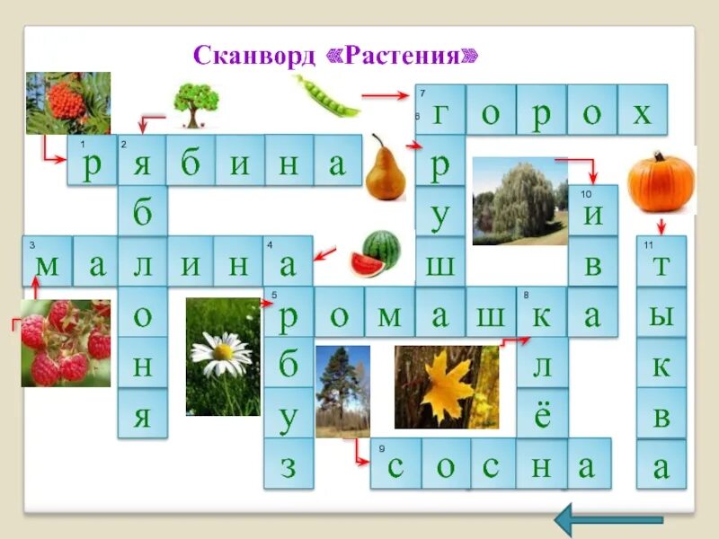 Кроссворд на тему растительные сообщества