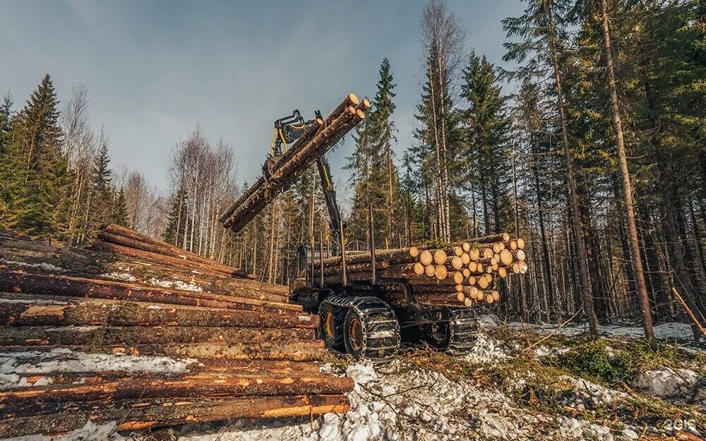 Лесная промышленность деревоперерабатывающая промышленность,. Лесная промышленность урала. Лесопереработка лесозаготовка киров. Лесной эталон fsc. Харвестер и форвардер джон дир.