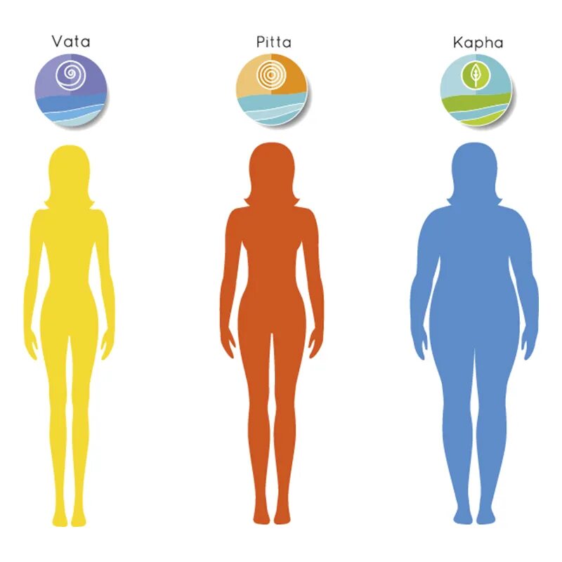 Типы телосложения у мужчин эктоморф. Типы телосложения эктоморф мезоморф эндоморф. Тип телосложения эктоморф мезоморф. Доши аюрведа типы. Смешанный тип телосложения эктоморф-мезоморф.