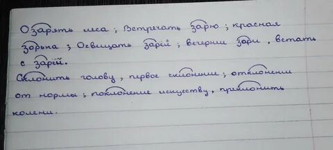 Впишу корень