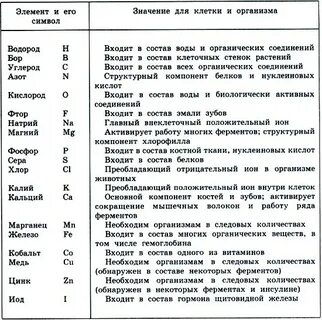 Что значит значимые года жизни