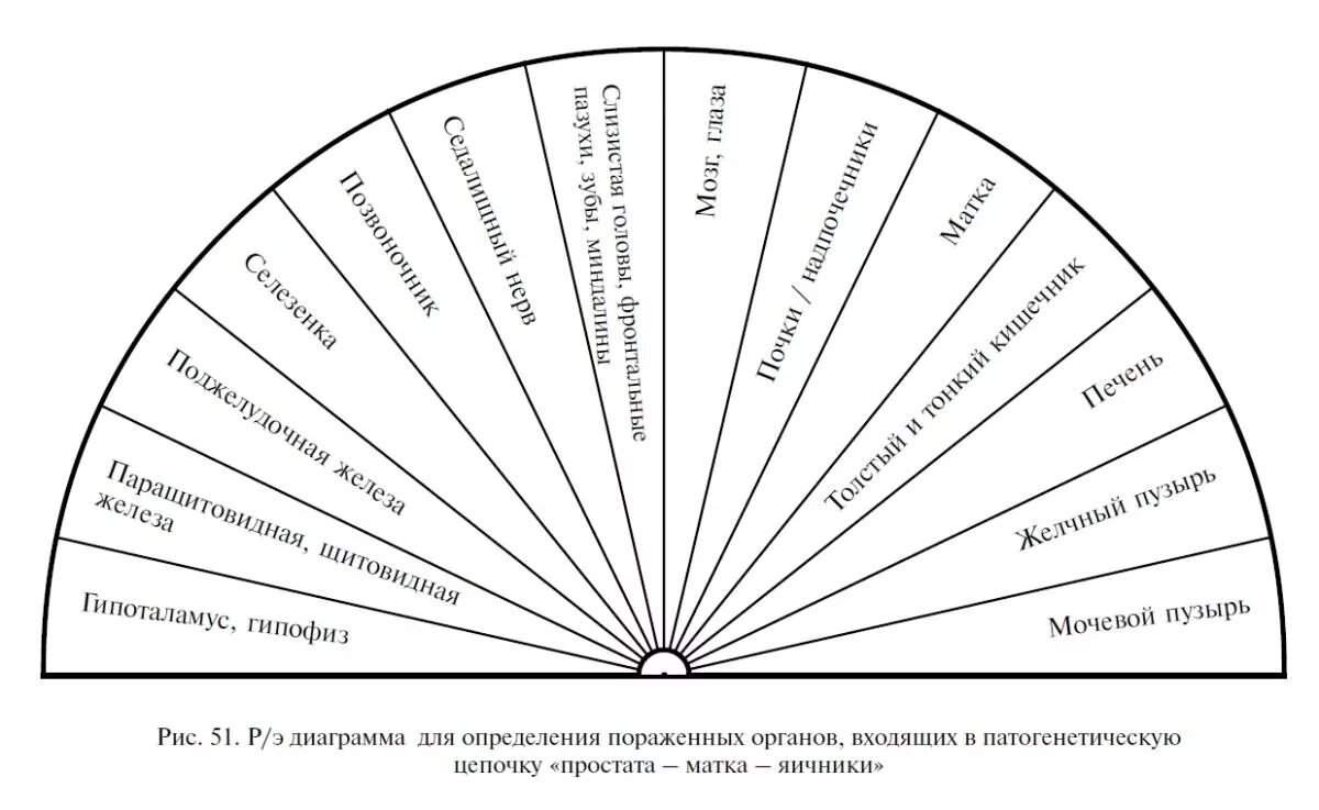 Диаграммы Людмилы Пучко по биолокации. Диаграмма отрицательных мыслей Пучко. Диаграмма Пучко земные духи. Многомерная шкала перфекционизма