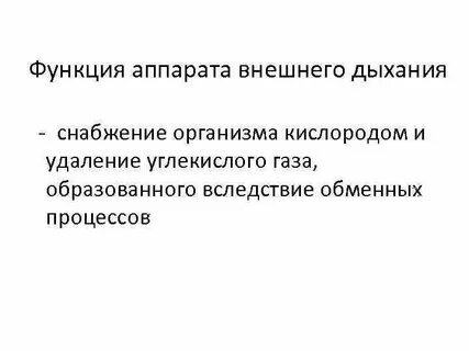 Функции аппарата дыхания