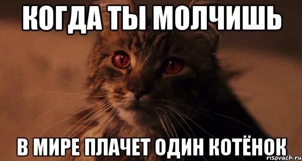 Ты молчишь и ничего