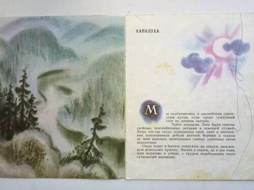 Описание природы в рассказе весенний остров. Астафьев весенний остров. книга астафьев весенний остров. астафьев весенний остров иллюстрации.