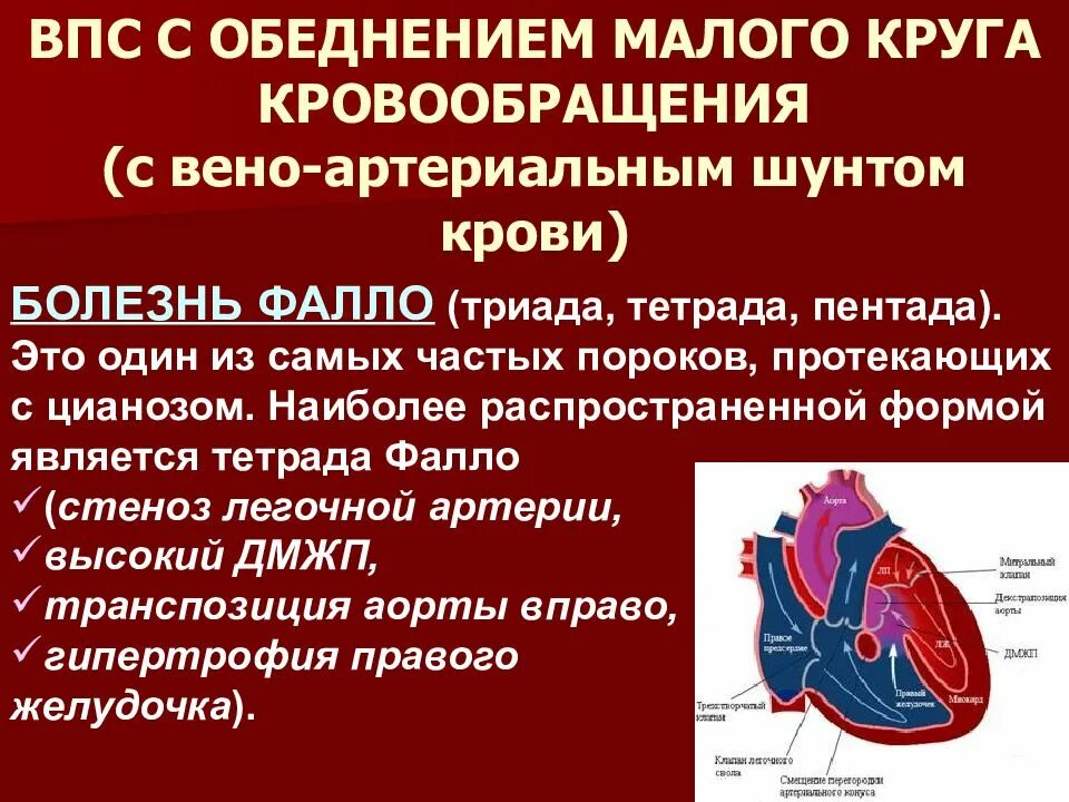 Впс премиум
