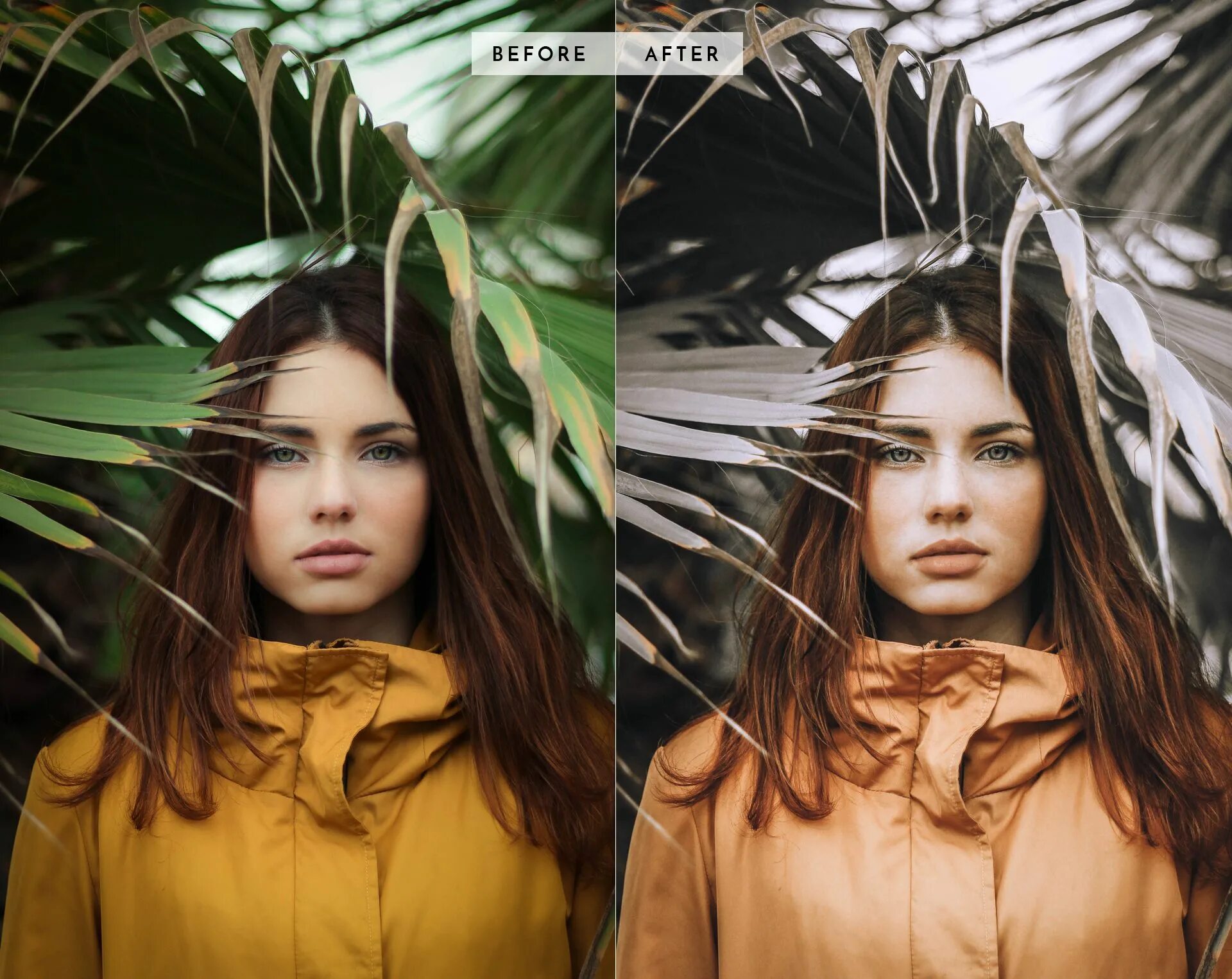 Presets collection