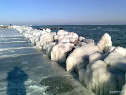 Какое море нашей страны не замерзает