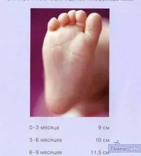 Размер пинеток по месяцам