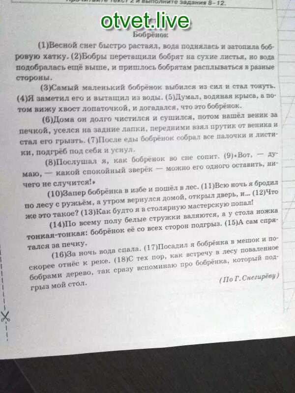 Определите основную мысль текста этим летом. Диктант Бобренок. Диктант 4 класс Бобренок. Текст Бобренок. Основная мысль текста весной снег быстро растаял вода поднялась.