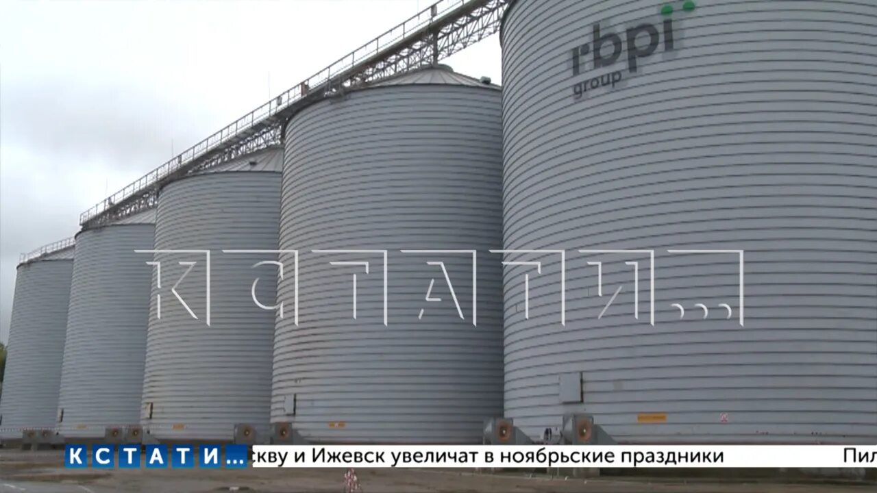 Рбпи групп. РБПИ групп Нижегородская область. RBPI Group Вад. РБПИ элитные семена Перевоз. РБПИ.