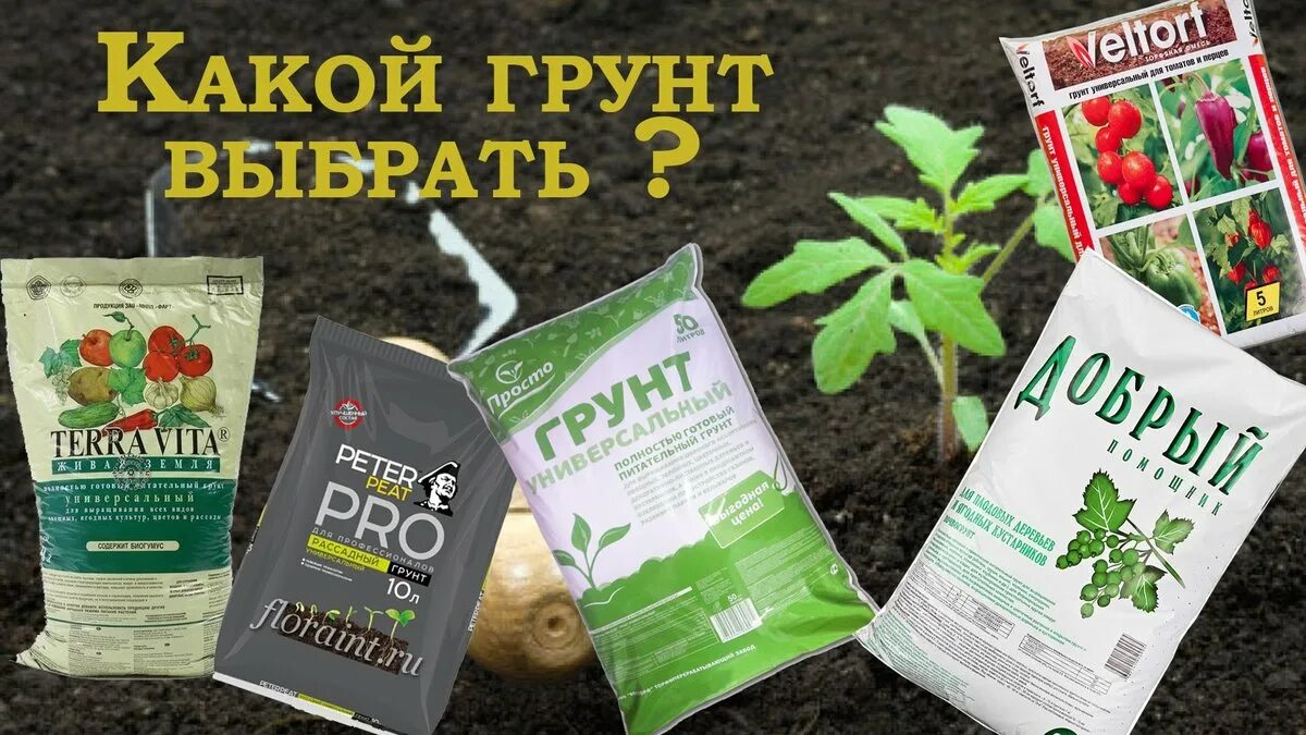 Грунт для рассады какой. Земля грунт для рассады. Грунт для рассады какой. Грунт для рассады. Грунт для рассады какой.
