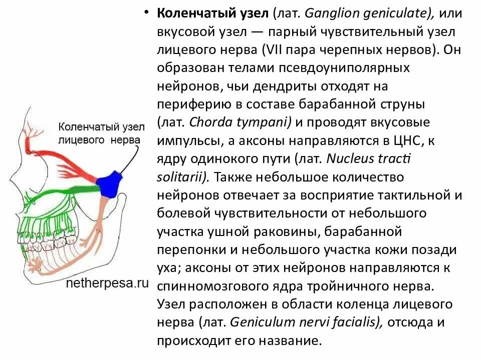 Поражение глазной ветви тройничного нерва. Нейропатия тройничного нерва. Воспаление тройничного лицевого нерва. Воспаление тройничного нерва на лице.