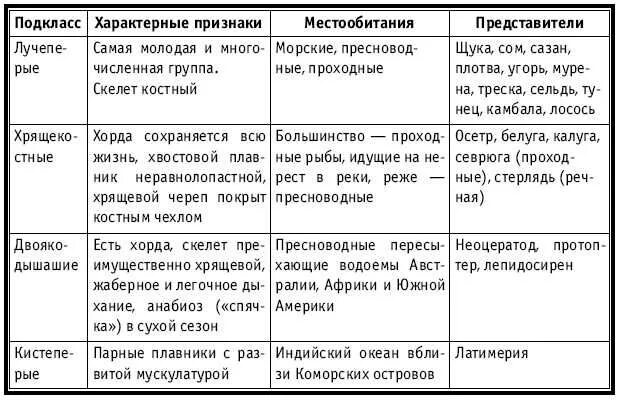 Таблица рыбы 8 класс биология. Отряды костных рыб таблица. Класс костные рыбы отряды таблица. Таблица многообразие рыб 7 класс биология. Отряды костных рыб таблица 7 класс по биологии.