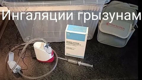 Ингаляции крысам