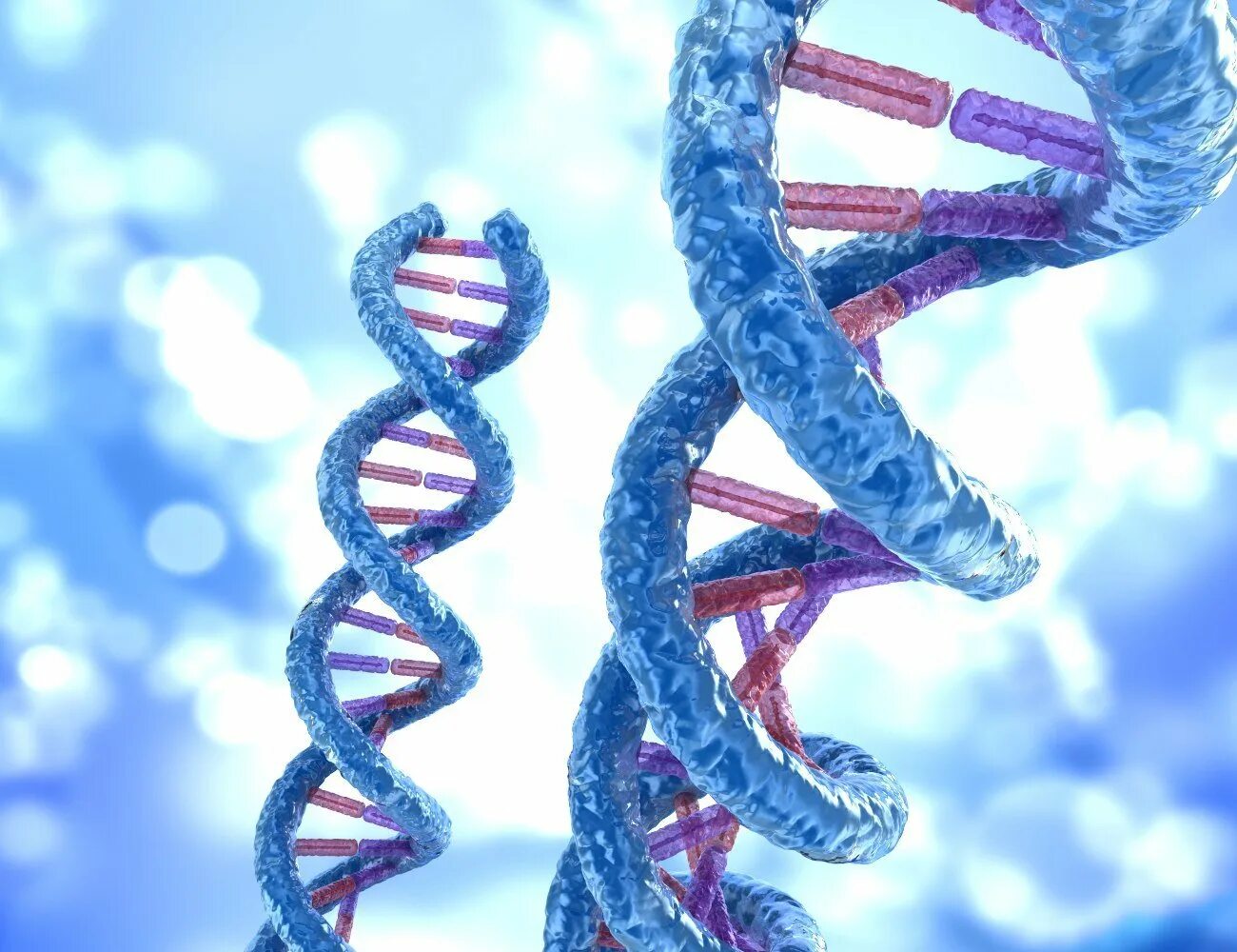 Молекула ДНК. Модель ДНК. Молекула ДНК человека. Спираль ДНК. Значение молекул днк