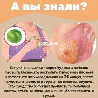 Капустный лист на молочную железу