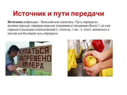 Передача кишечных инфекций