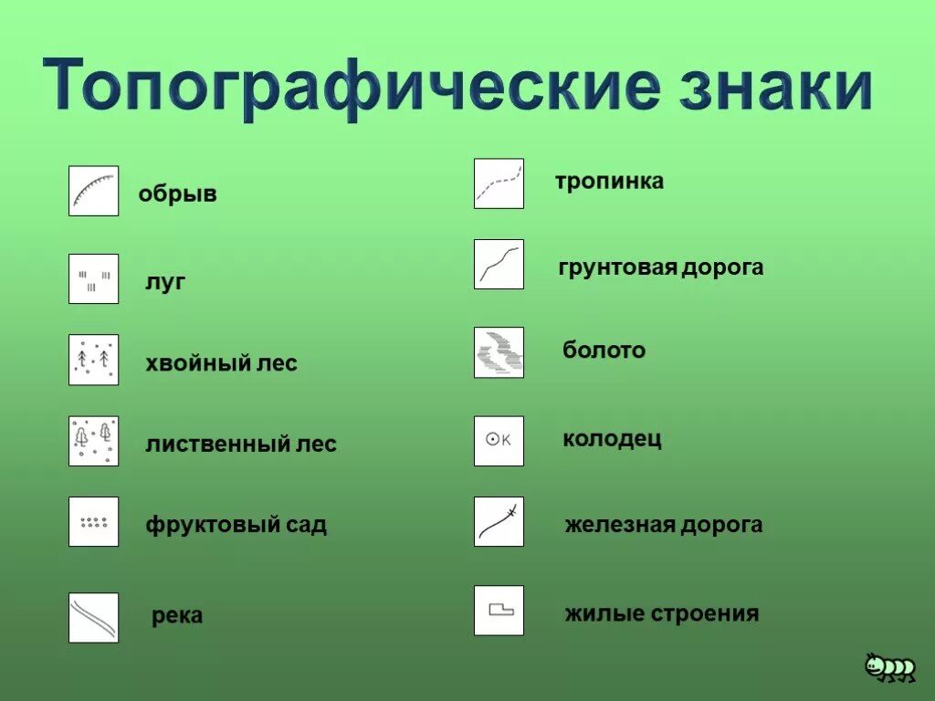 Знаки географа. Топографические знаки шоссе смешанного леса и Луга. Топографические обозначения лес. Лесная тропинка условный знак. Условные топографические знаки.