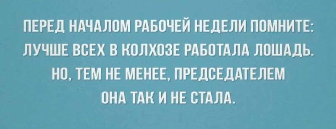 Настоящая дура. Перед началом рабочей недели помните лучше всех в колхозе работала. Позитивные высказывания. Настоящая дура. Фальшивая любовь.
