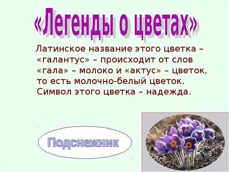 Ключевое слово цветок