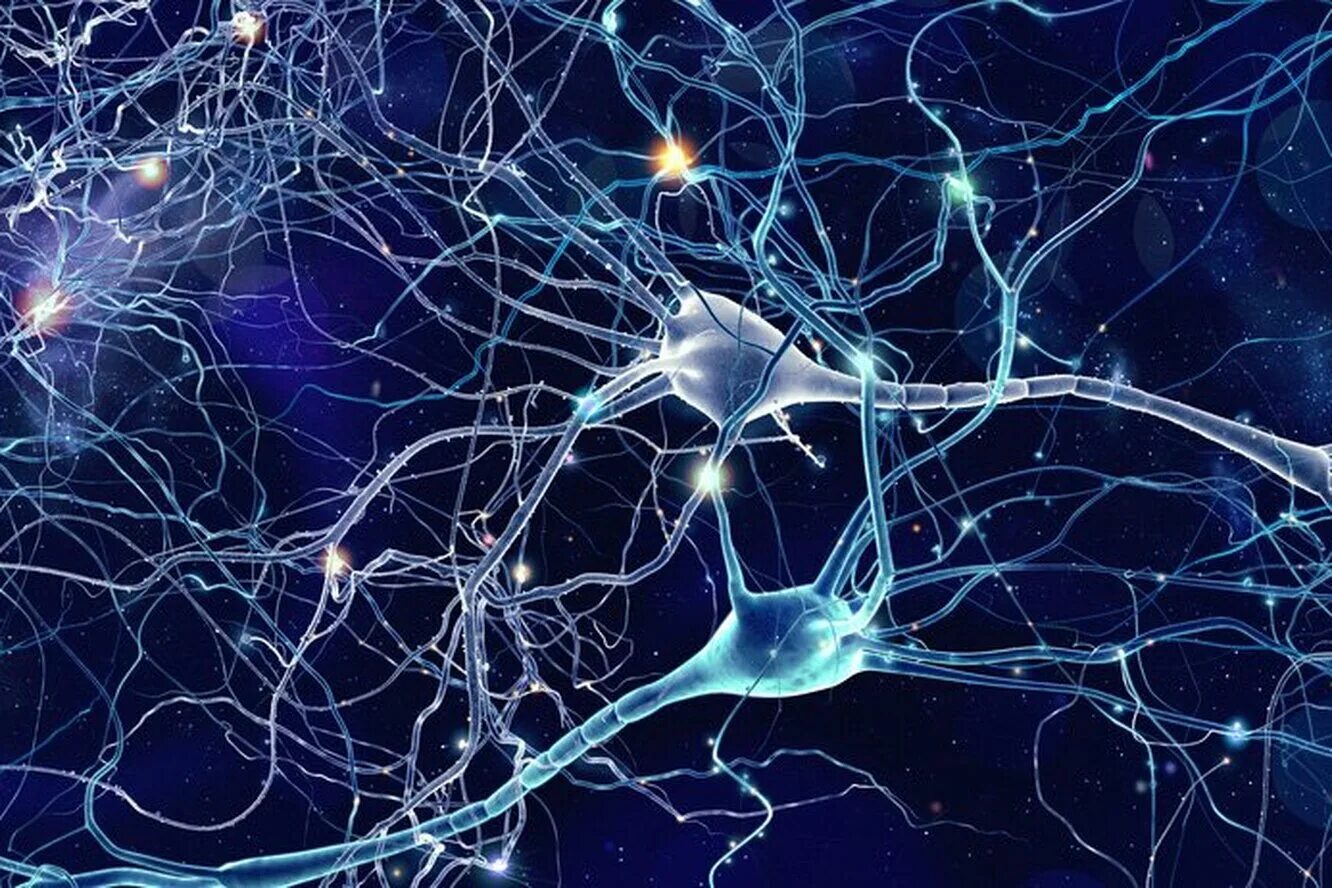 нейронная система. нейрон, нейронные связи, нейрогенез. хорошие нейронные связи. нейронные связи лучшие связи. нейросеть нейроны.